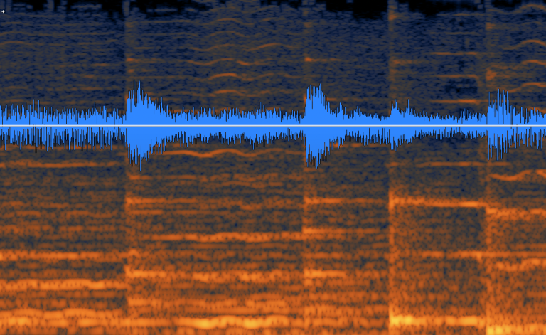 A picture of an audio wave length from production 'Kiss My Echo'